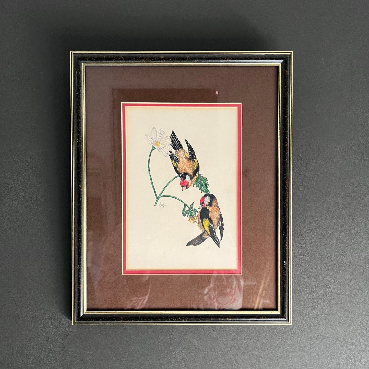 Vintage Pencil and Ink Drawing Goldfinch Birds and Daisy