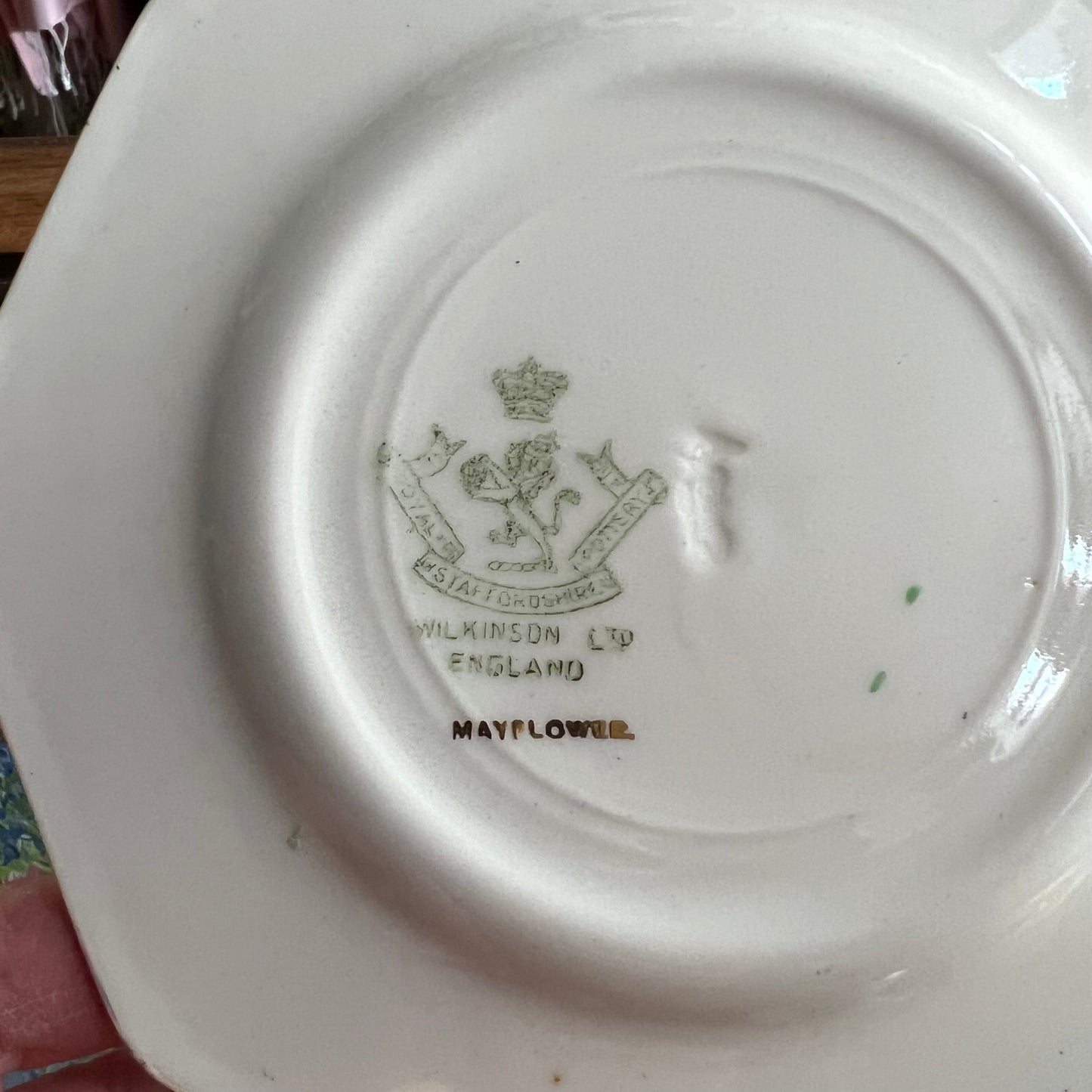 Rare 1920s ‘Mayflower’ Floral Pattern Plates by Royal Staffordshire Pottery Set 4