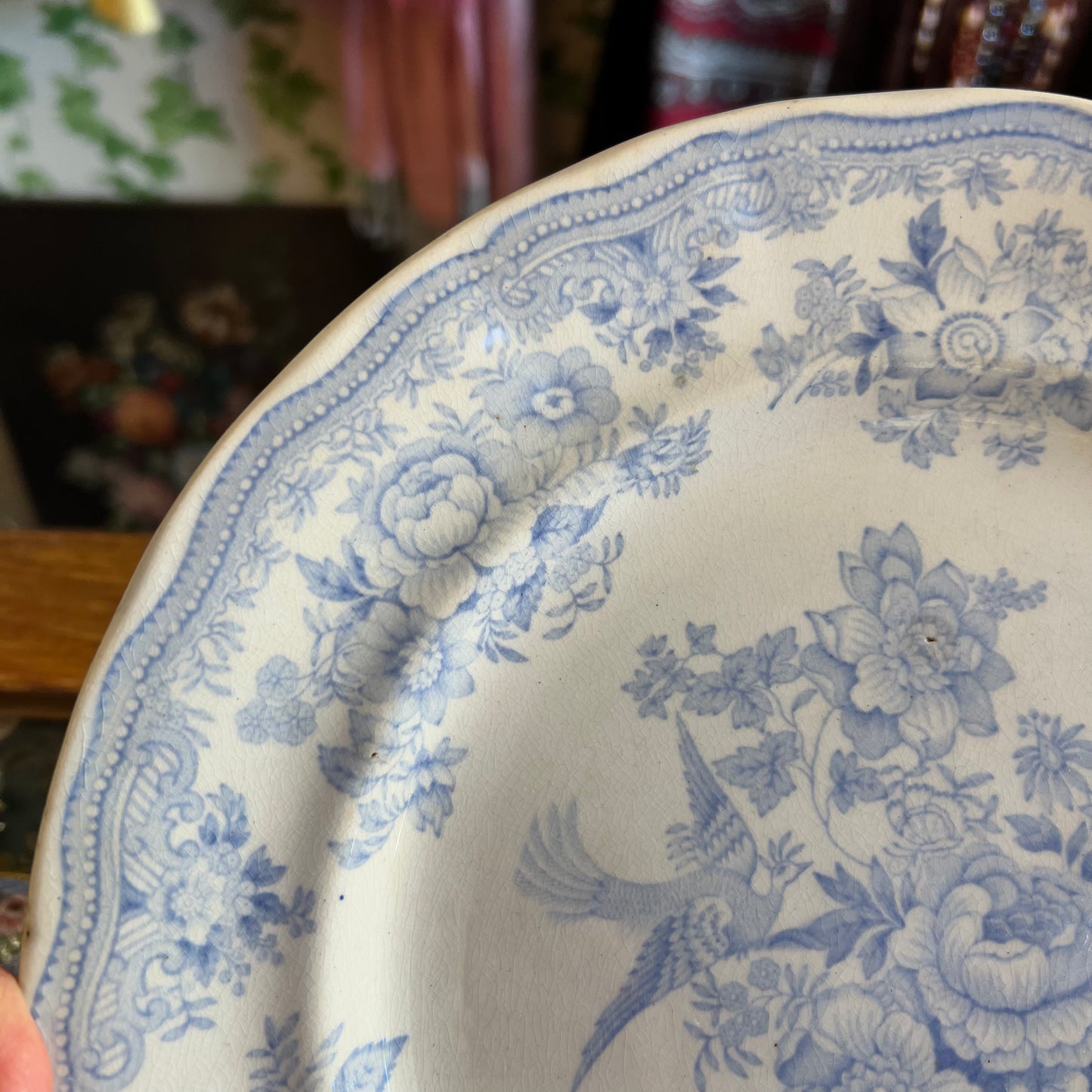 Antique Asiatic Pheasants Plate