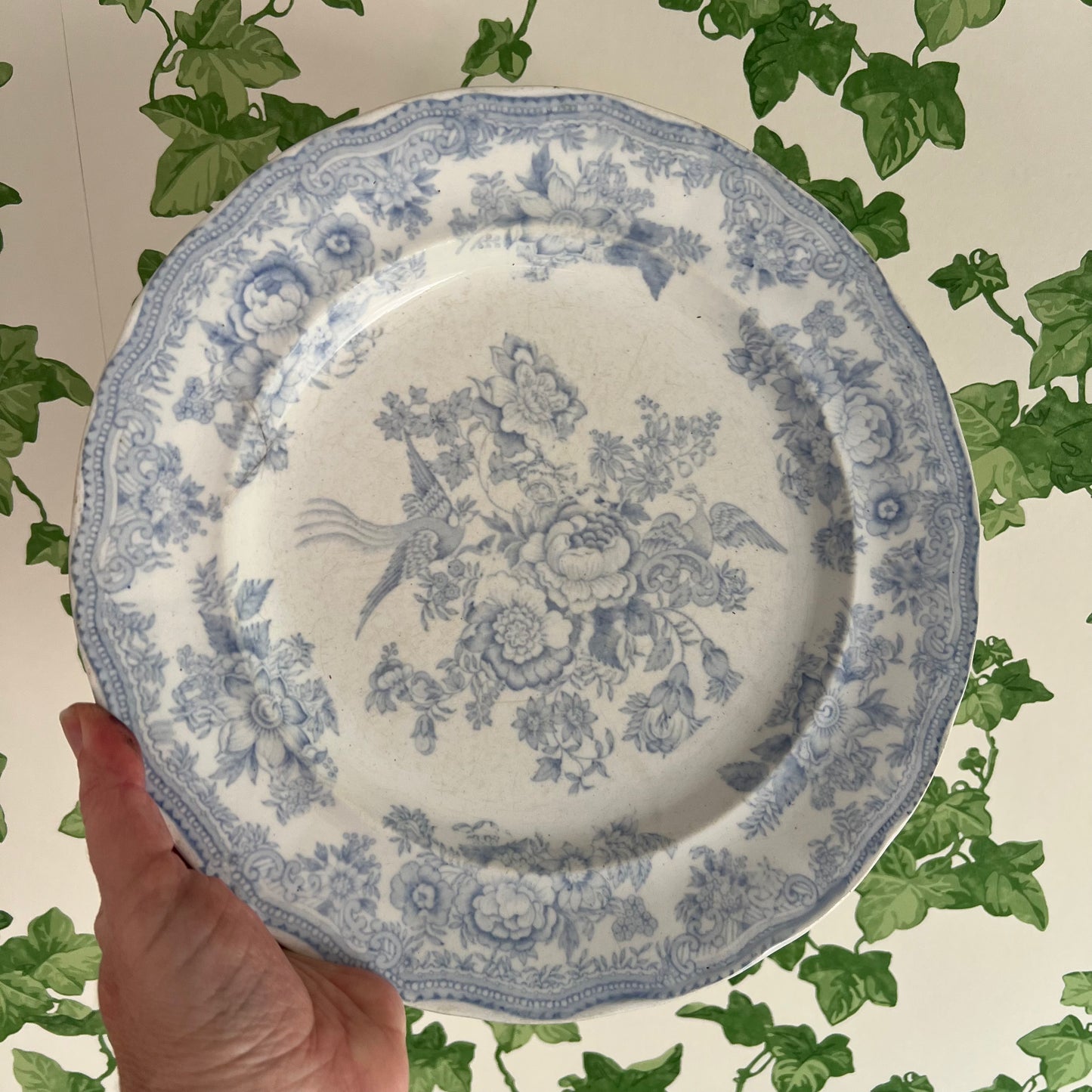 Antique Asiatic Pheasant Plate Burgess & Leigh #1