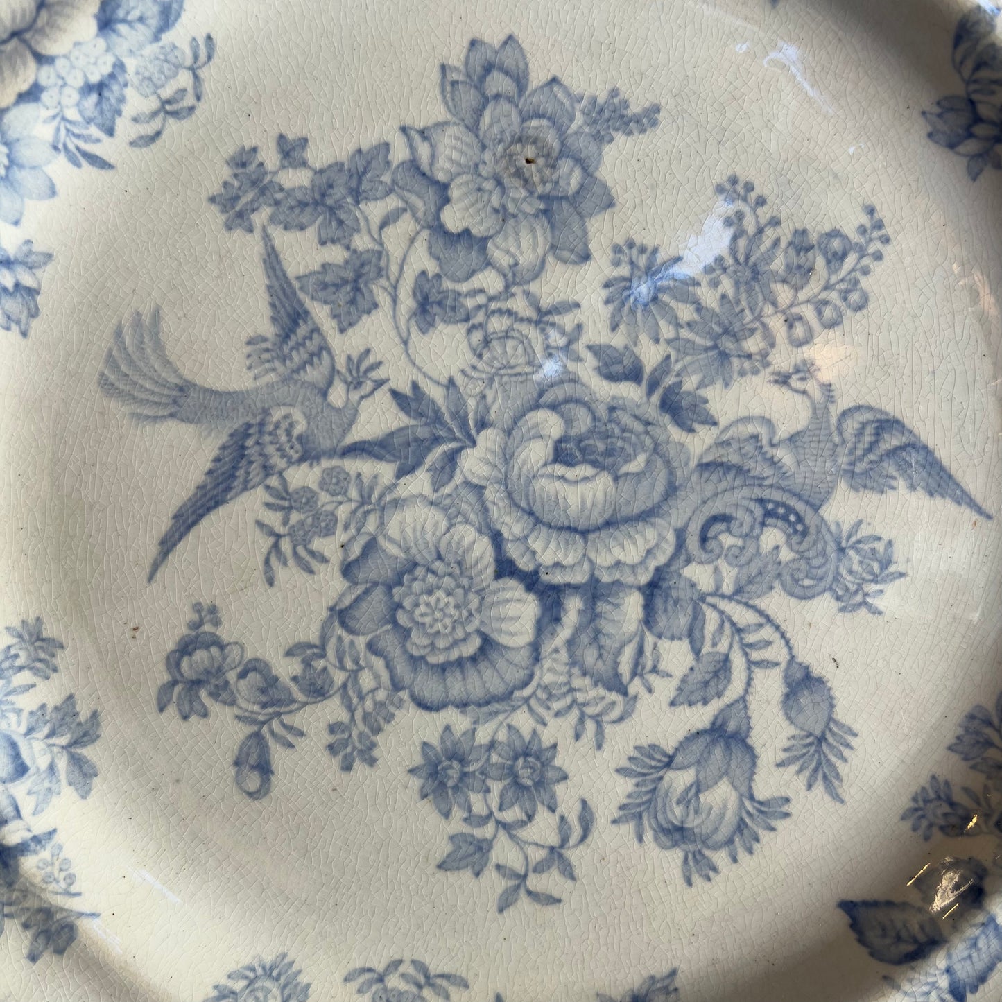 Antique Asiatic Pheasants Plate