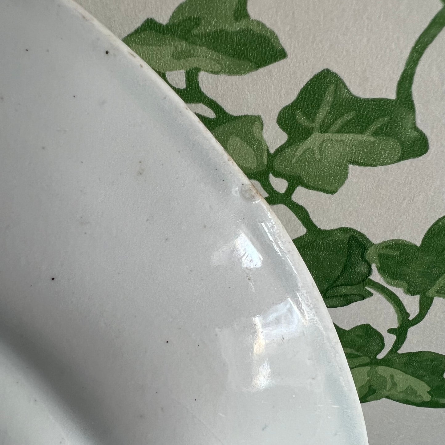 Antique Asiatic Pheasant Plate Burgess & Leigh #2