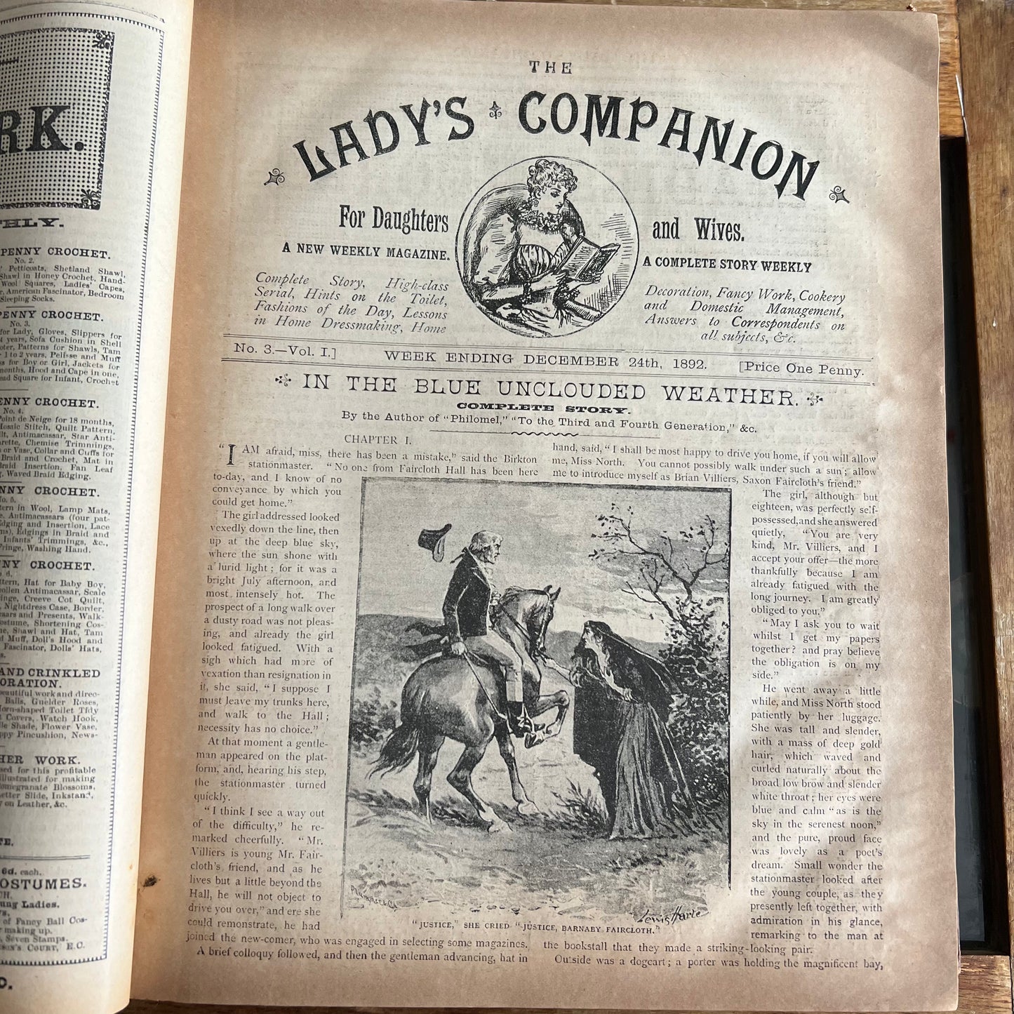 Antique The Lady’s Companion 1893