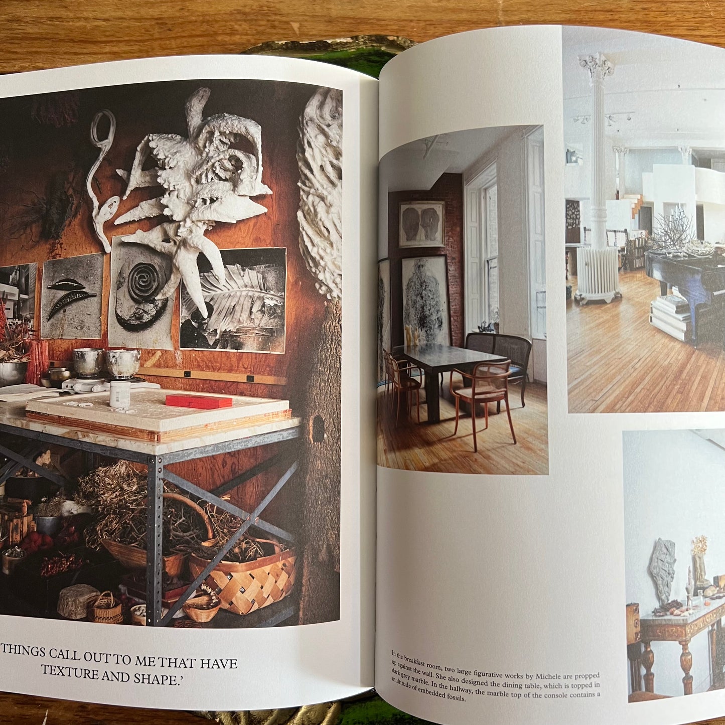 The New Naturalists by Claire Bingham