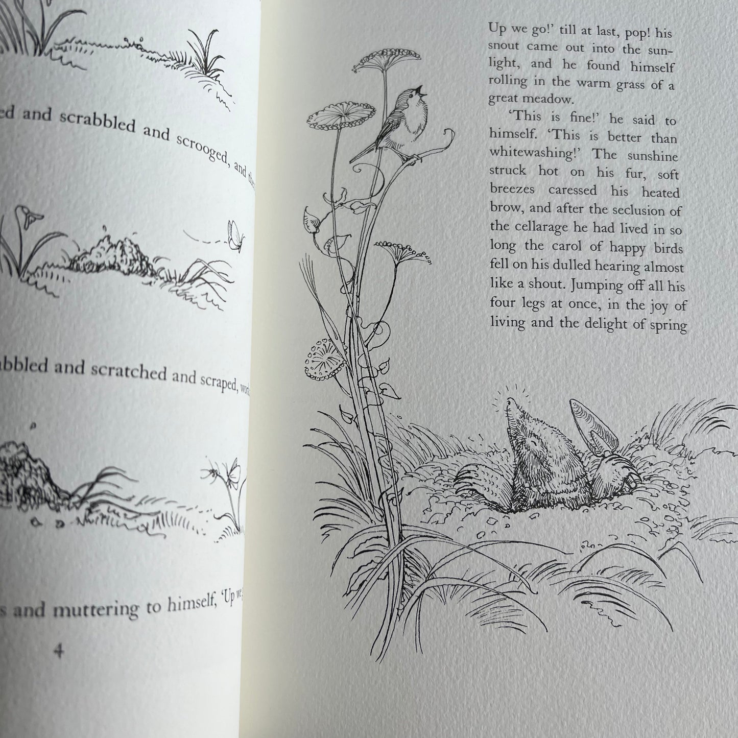 Vintage The Folio Society Wind in the Willows