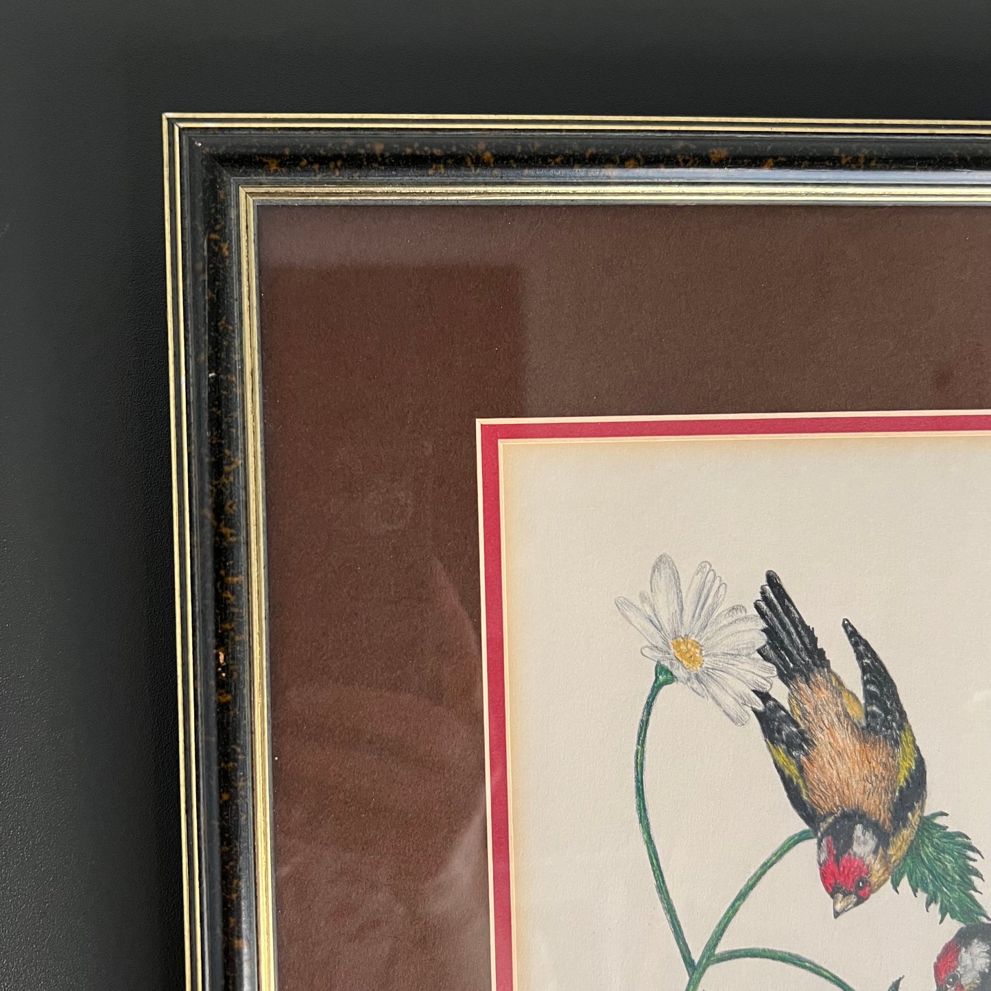 Vintage Pencil and Ink Drawing Goldfinch Birds and Daisy