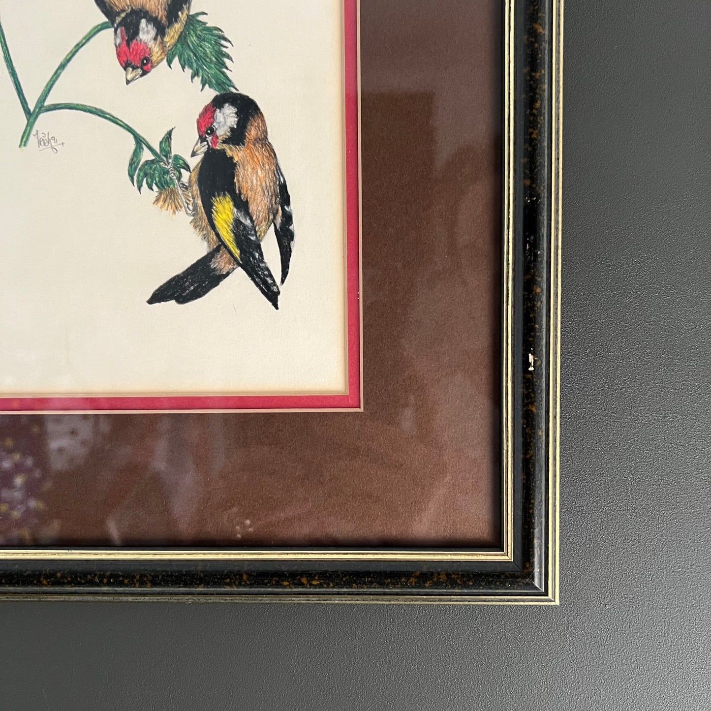 Vintage Pencil and Ink Drawing Goldfinch Birds and Daisy