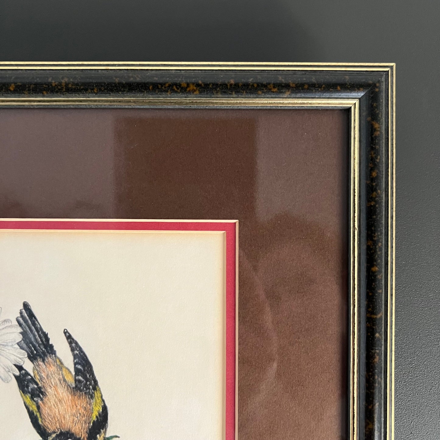 Vintage Pencil and Ink Drawing Goldfinch Birds and Daisy