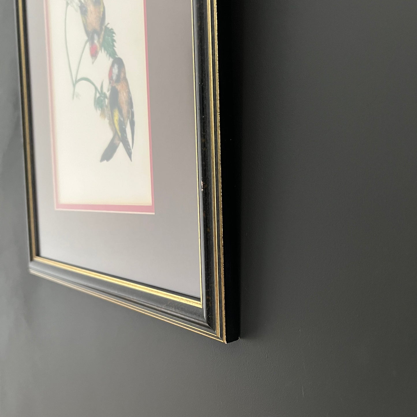 Vintage Pencil and Ink Drawing Goldfinch Birds and Daisy