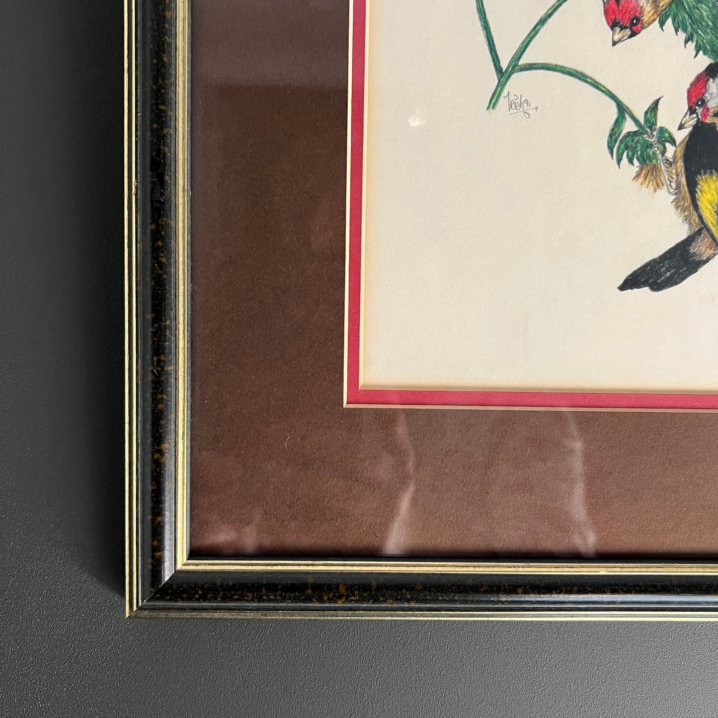 Vintage Pencil and Ink Drawing Goldfinch Birds and Daisy