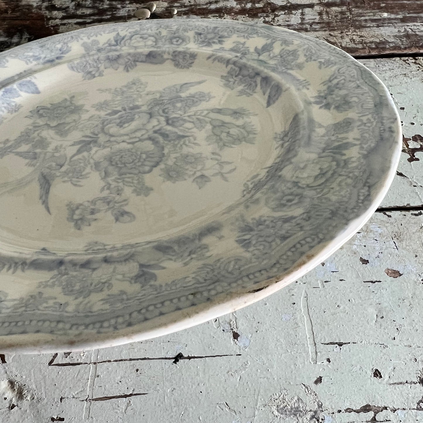 Antique Asiatic Pheasant Plate Burgess & Leigh #2