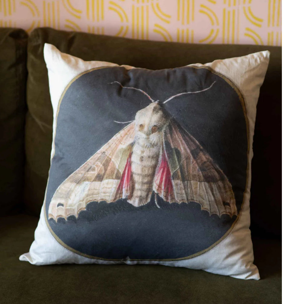 Moth Cushion Cover
