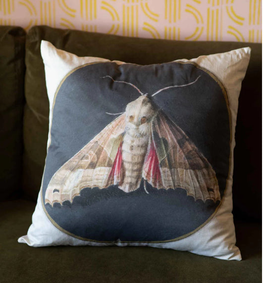 Moth Cushion Cover