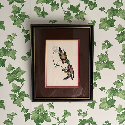 Vintage Pencil and Ink Drawing Goldfinch Birds and Daisy