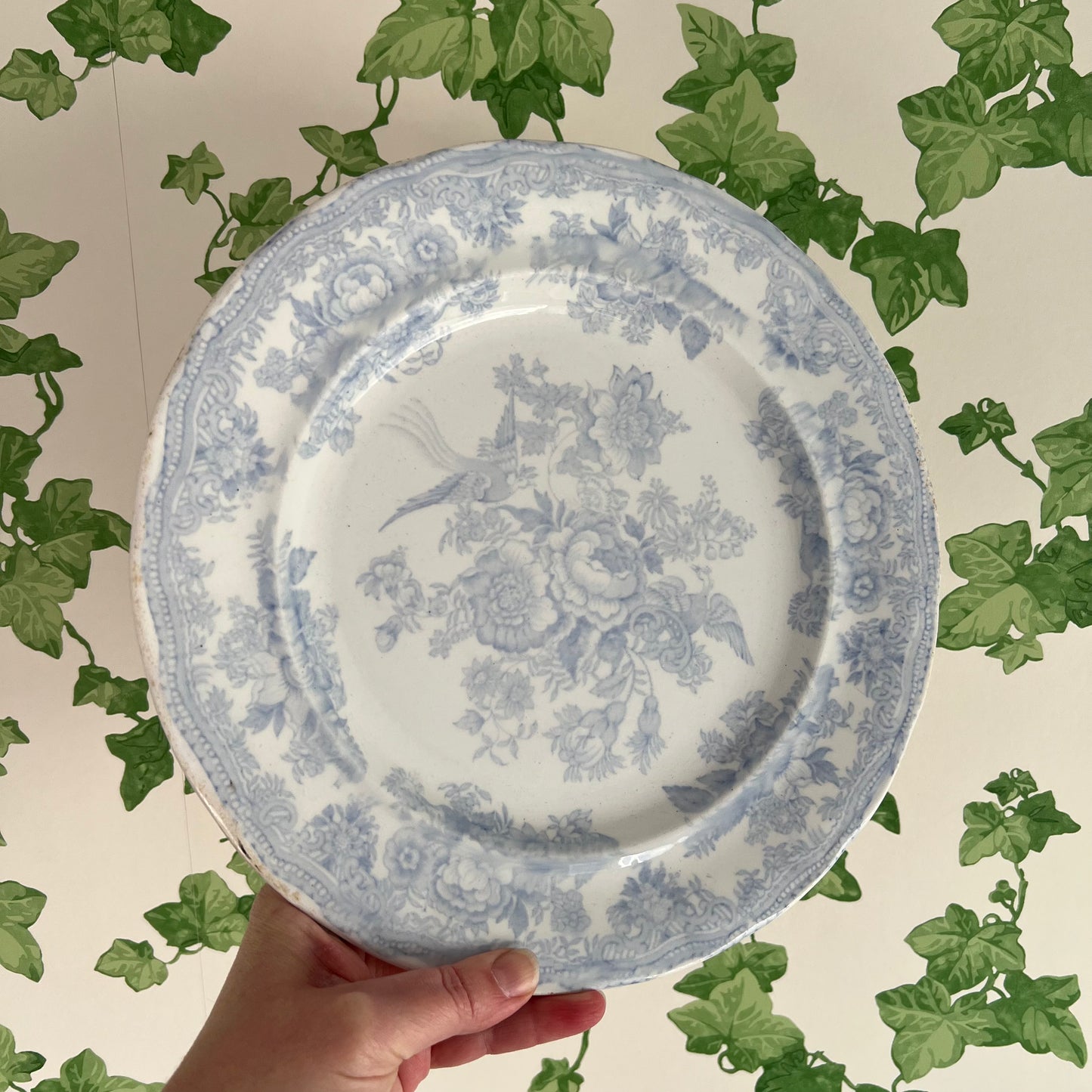 Antique Asiatic Pheasant Plate Burgess & Leigh #2