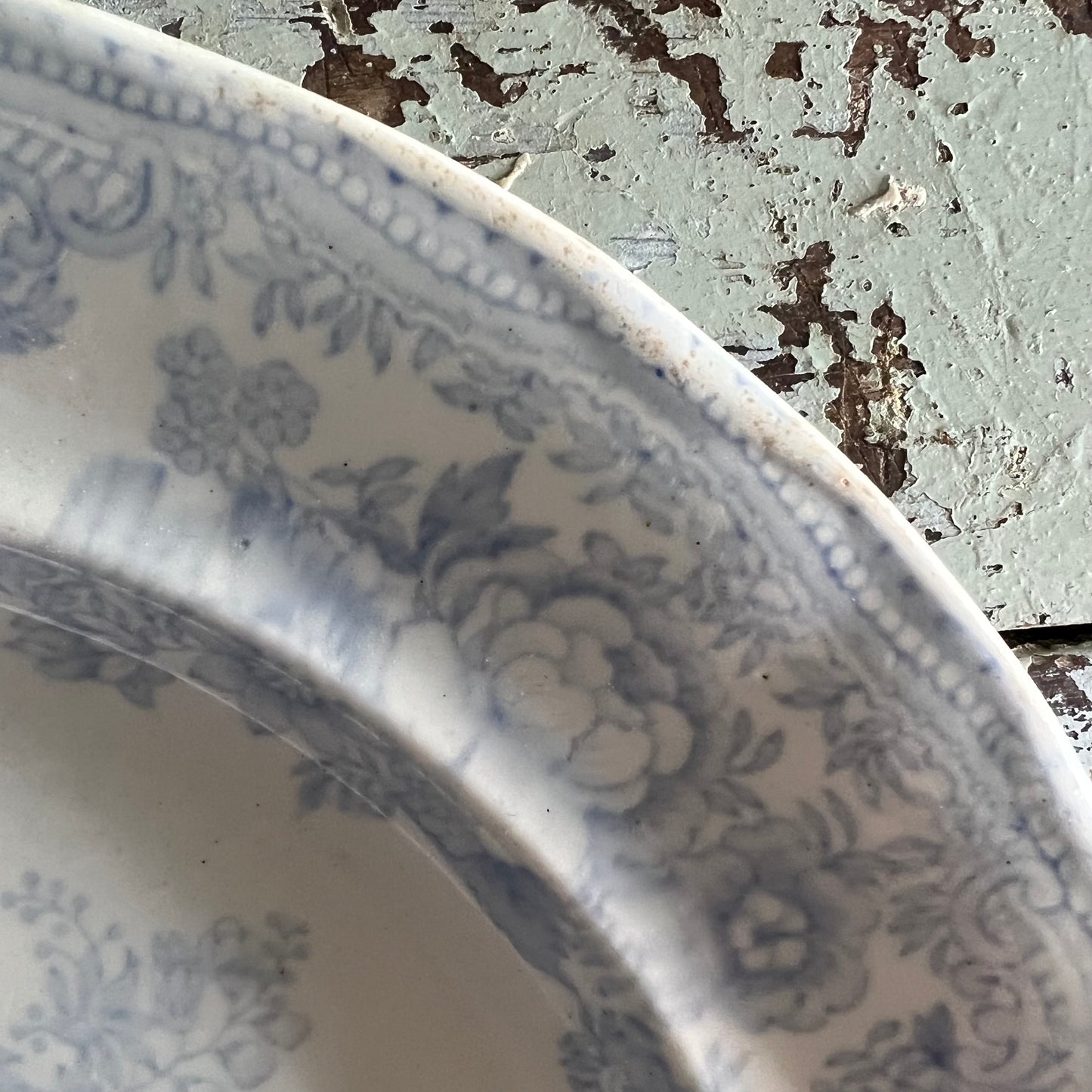 Antique Asiatic Pheasant Plate Burgess & Leigh #2