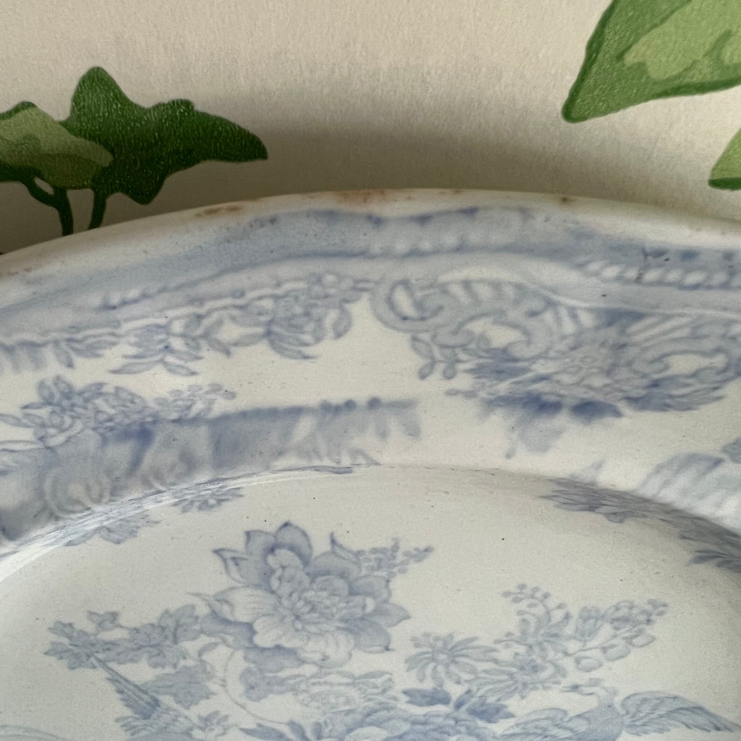 Antique Asiatic Pheasant Plate Burgess & Leigh #2