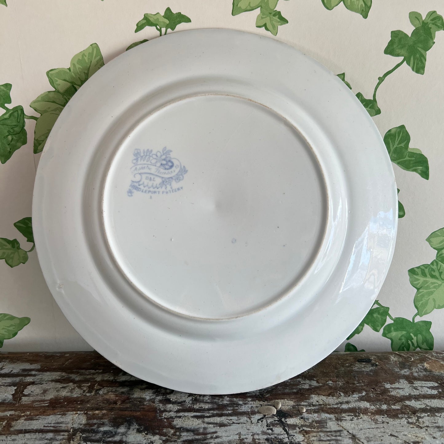 Antique Asiatic Pheasant Plate Burgess & Leigh #2