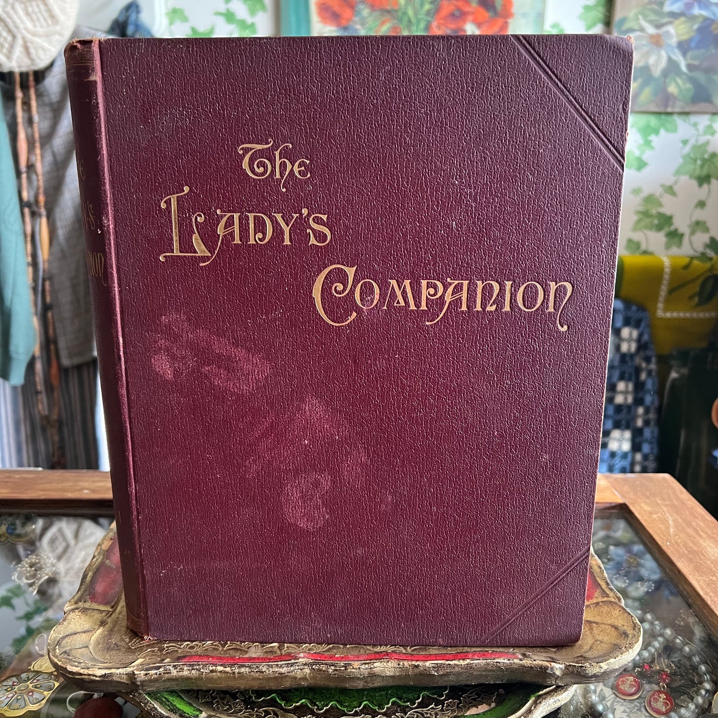 Antique The Lady’s Companion 1893